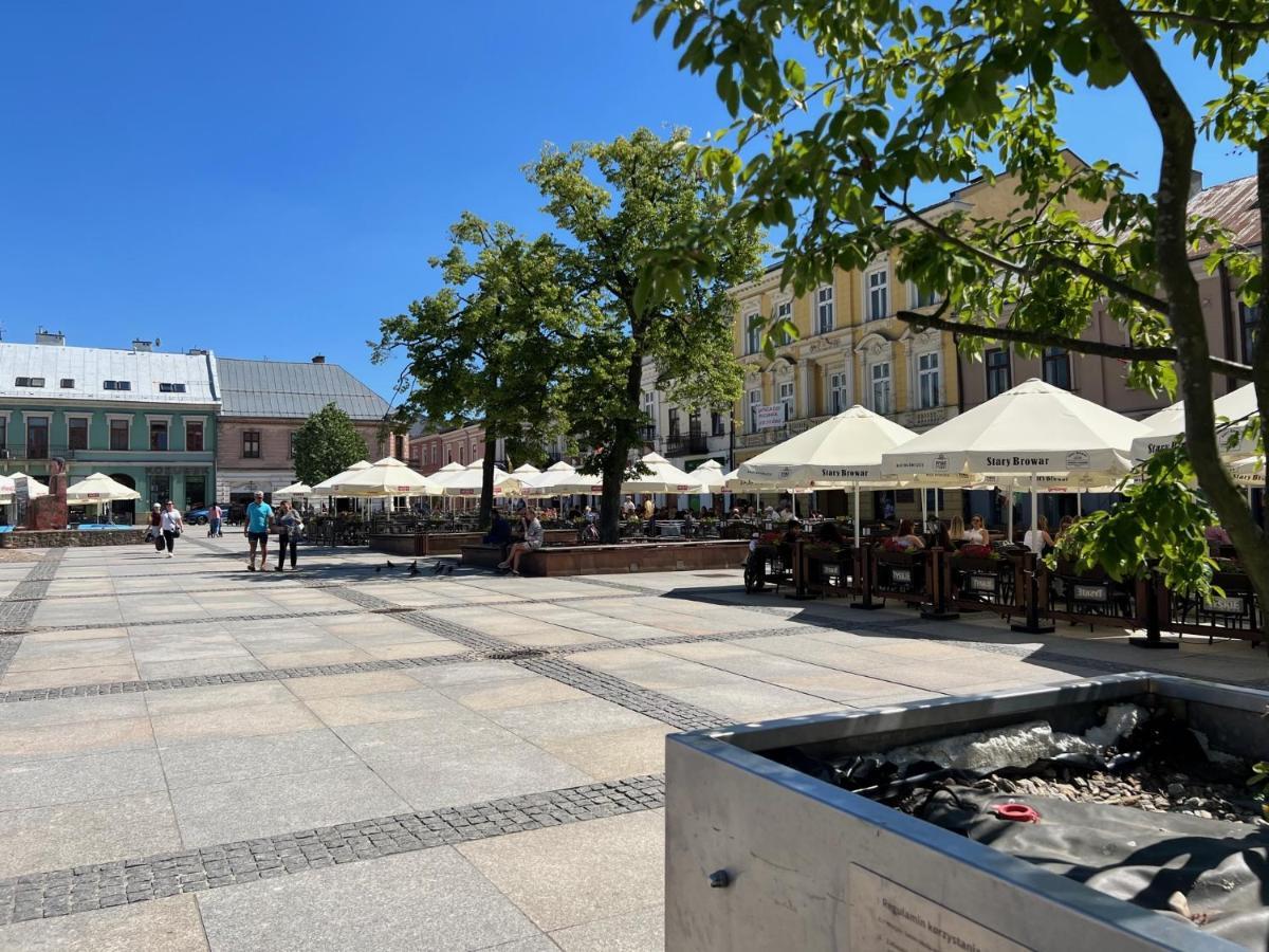Family & Business Sauna Apartments Plac Wolnosci Centrum Downtow, - Piekny Apartament - 5 Bedroom With Private Sauna, Bath With Hydromassage, Parking, Catering Options كيلتشي المظهر الخارجي الصورة